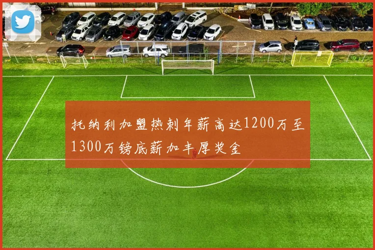 托纳利加盟热刺年薪高达1200万至1300万镑底薪加丰厚奖金