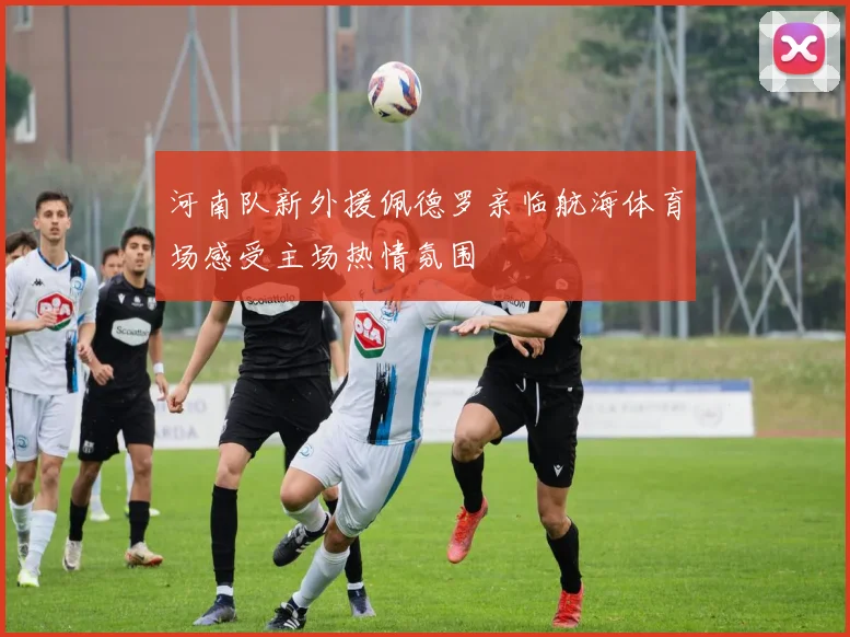 河南队新外援佩德罗亲临航海体育场感受主场热情氛围